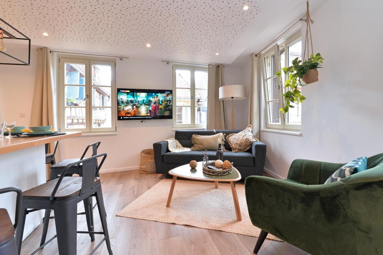 קולמר Suite Le Splendide Du Centre Historique Avec Climatisation מראה חיצוני תמונה
