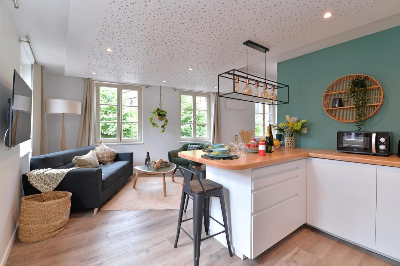 קולמר Suite Le Splendide Du Centre Historique Avec Climatisation מראה חיצוני תמונה
