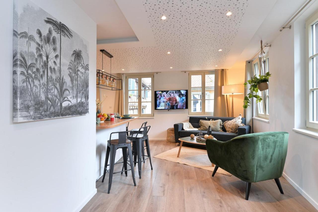 קולמר Suite Le Splendide Du Centre Historique Avec Climatisation מראה חיצוני תמונה