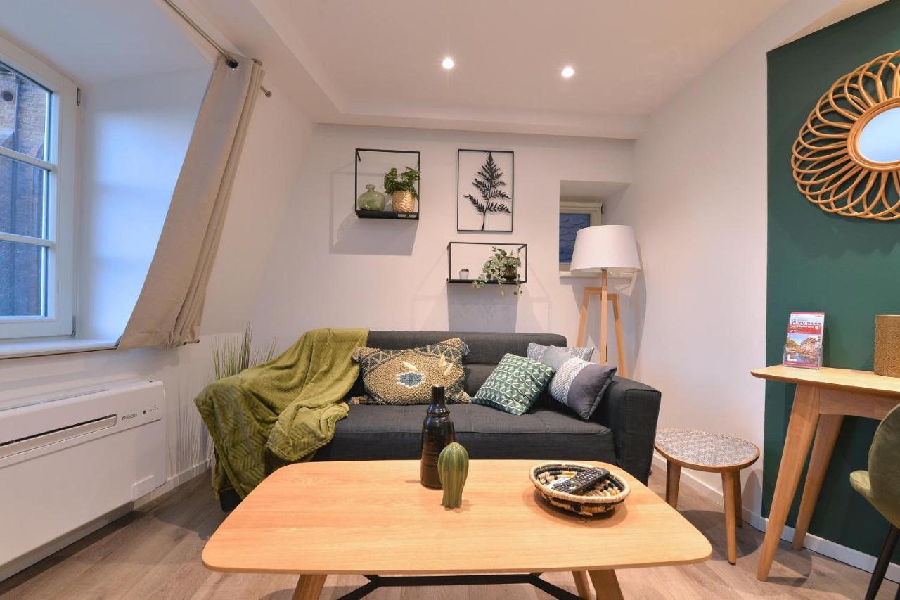 קולמר Suite Le Splendide Du Centre Historique Avec Climatisation מראה חיצוני תמונה