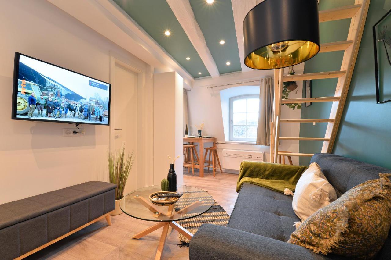 קולמר Suite Le Splendide Du Centre Historique Avec Climatisation מראה חיצוני תמונה