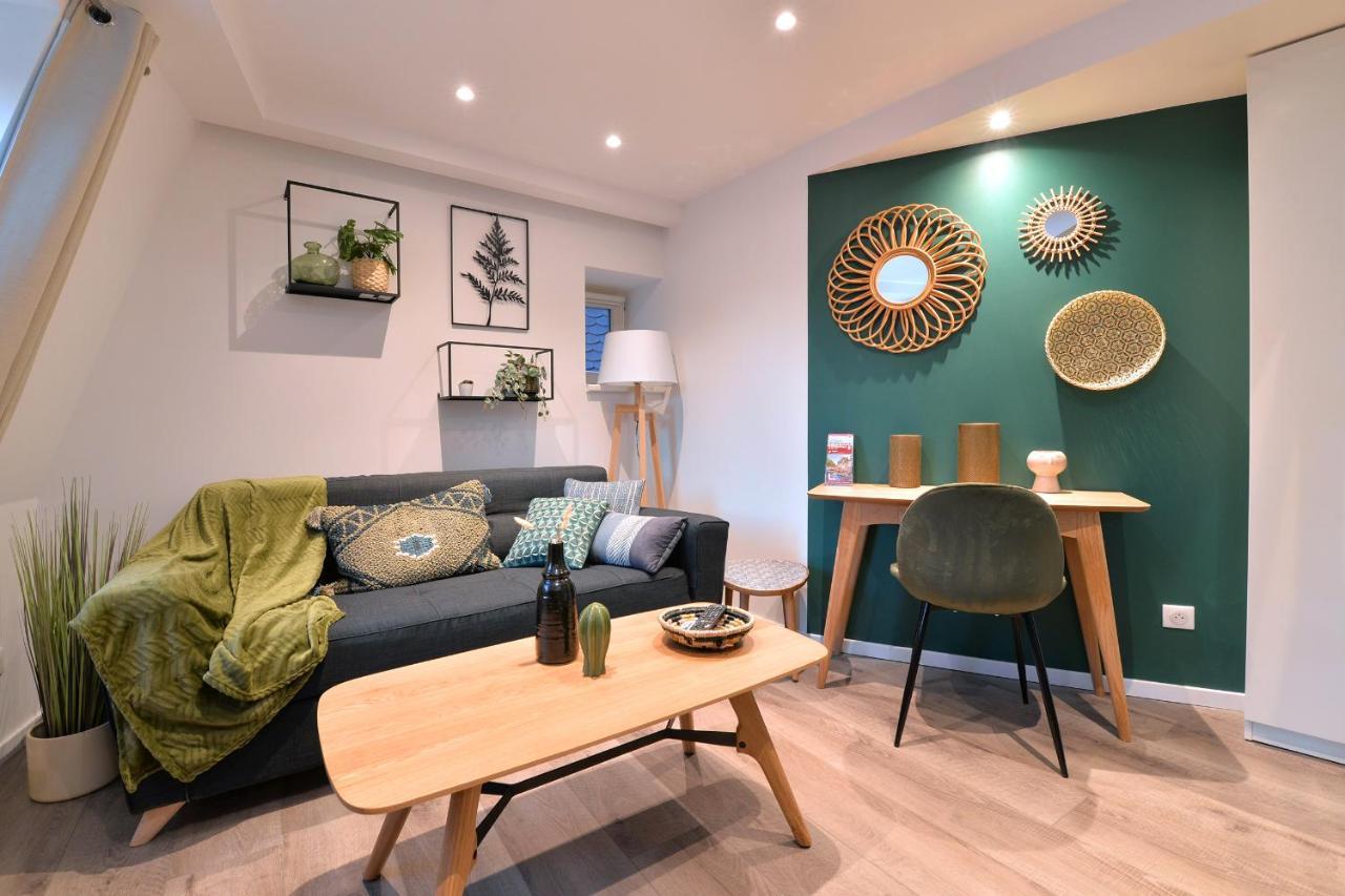 קולמר Suite Le Splendide Du Centre Historique Avec Climatisation מראה חיצוני תמונה