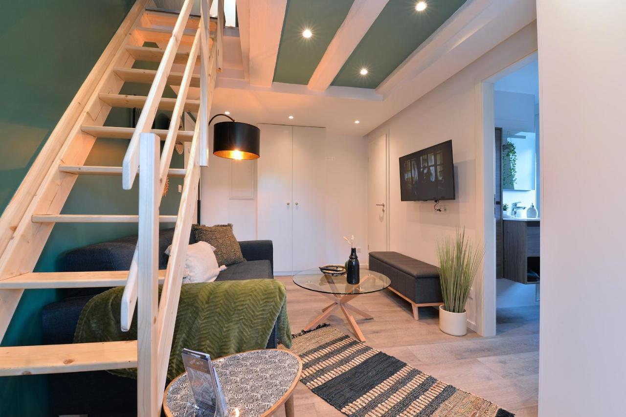 קולמר Suite Le Splendide Du Centre Historique Avec Climatisation מראה חיצוני תמונה